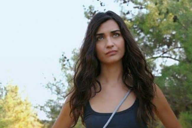 Serija Zeytin Agaci / Maslinovo drvo obara nove rekorde!