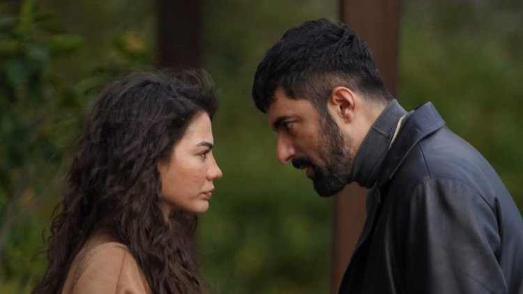 Da li će projekat Adim Farah / Zovem se Farah postati miljenik fanova turskih serija?!