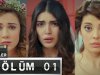 Turska Serija – Kaçak Gelinler | Odbegle neveste epizoda 1