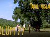 Yarali Kuslar | Ranjene ptice epizoda 77