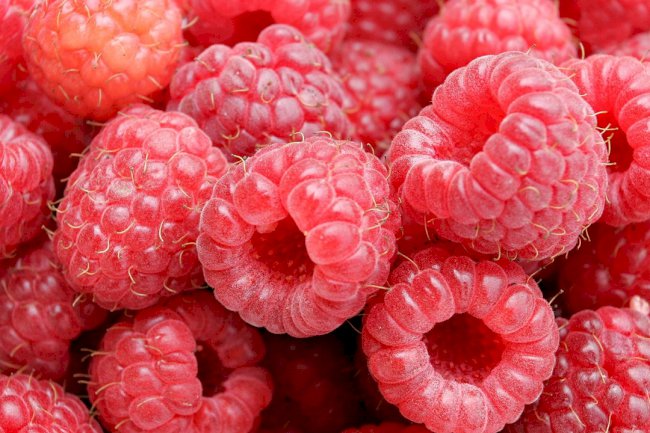 Malina - snižava povišenu temperaturu i poboljšava krvnu sliku