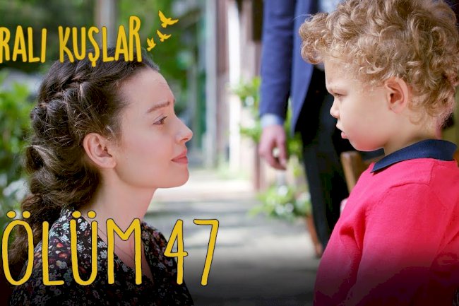Turska Serija – Yaralı Kuşlar | Ranjene ptice 47