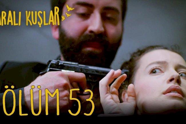 Turska Serija – Yaralı Kuşlar | Ranjene ptice 53