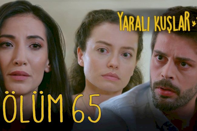 Yaralı Kuşlar | Ranjene ptice epizoda 65