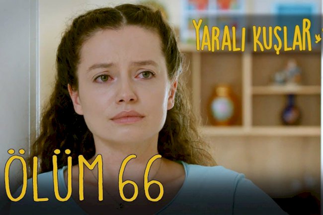 Yaralı Kuşlar | Ranjene ptice epizoda 66