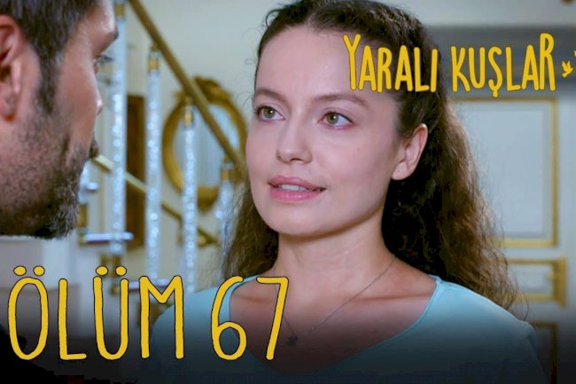 Yaralı Kuşlar | Ranjene ptice epizoda 67