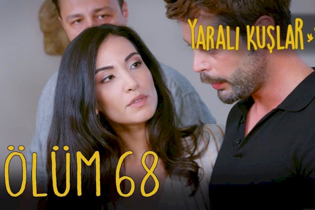 Yaralı Kuşlar | Ranjene ptice epizoda 68