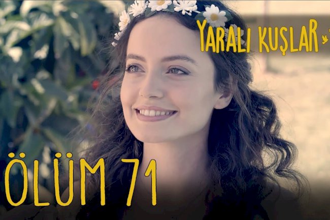 Yaralı Kuşlar | Ranjene ptice epizoda 71