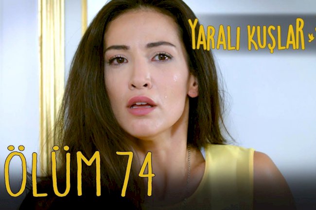 Yaralı Kuşlar | Ranjene ptice epizoda 74