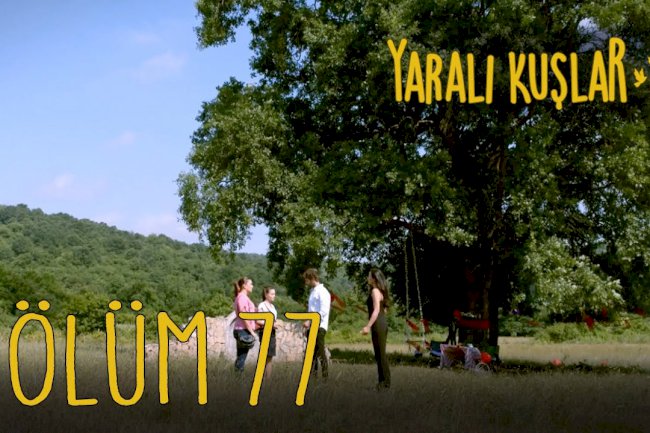 Yarali Kuslar | Ranjene ptice epizoda 77