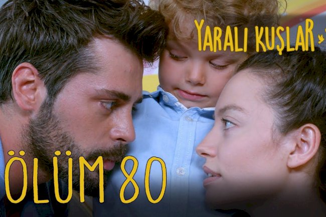 Yarali Kuslar | Ranjene ptice epizoda 80