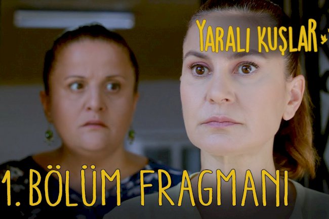 Yarali Kuslar | Ranjene ptice epizoda 81