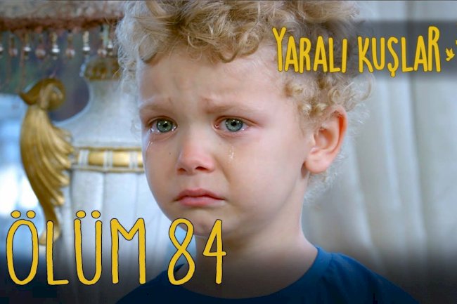 Yarali Kuslar | Ranjene ptice epizoda 84