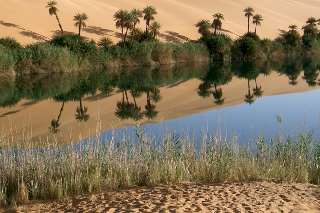 Stiže nam nova turska serija – Oasis / Oaza