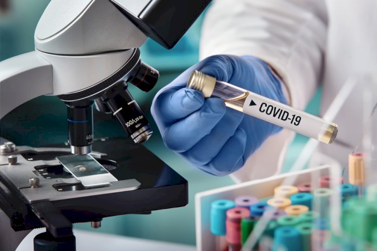 Bliži pogled na prvo testiranje vakcine protiv Covid-19