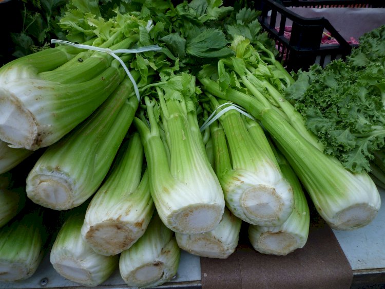 Celer - pomaže kod reume i otklanja nadutost