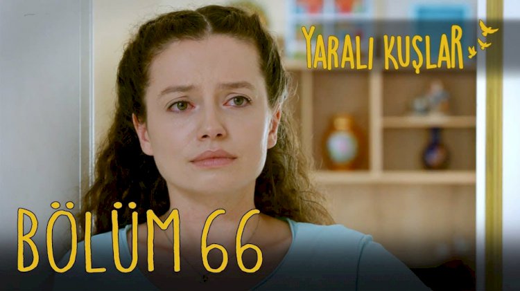 Yaralı Kuşlar | Ranjene ptice epizoda 66
