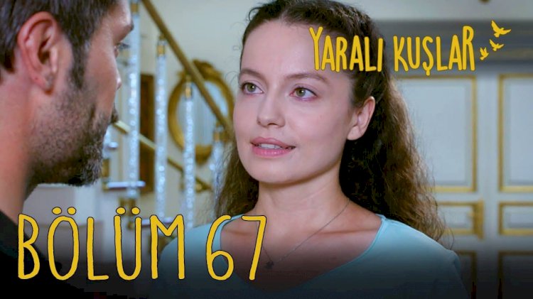 Yaralı Kuşlar | Ranjene ptice epizoda 67