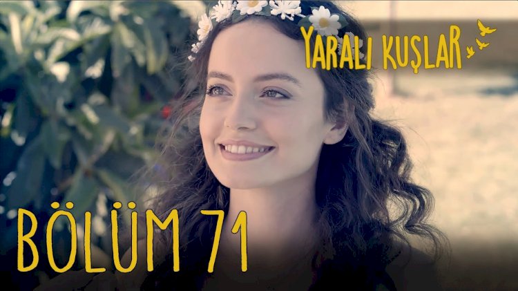 Yaralı Kuşlar | Ranjene ptice epizoda 71